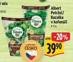 Albert Albert Petržel/Bazalka v kořenáči nabídka