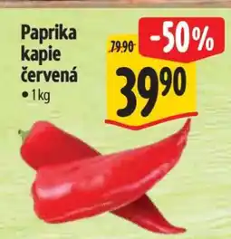 Albert Paprika kapie červená nabídka