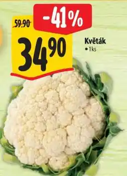 Albert Květák nabídka