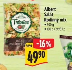 Albert Albert Salát Rodinný mix nabídka