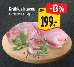 Albert Králík s hlavou nabídka