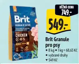 Albert Brit Granule pro psy nabídka