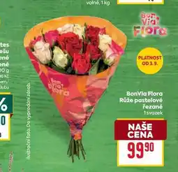 Billa BonVia Flora Růže pastelové řezané 1svazek nabídka