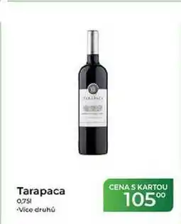 Tamda Foods Tarapaca nabídka