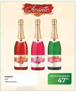 Tamda Foods Avanti 0,751 nabídka