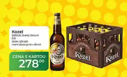 Tamda Foods Kozel 20X0,5L Světlý Sklo nabídka
