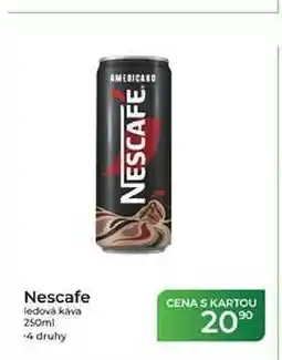 Tamda Foods Nescafe ledová káva nabídka