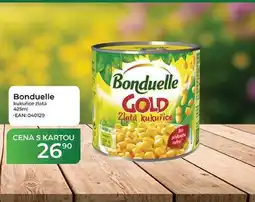 Tamda Foods Bonduelle kukuřice zlatá nabídka