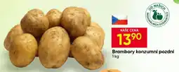 Hruška Brambory konzumní pozdní nabídka