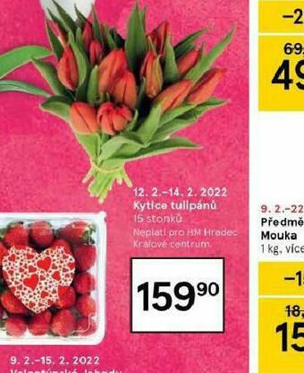 Tesco Kytice tulipánů nabídka