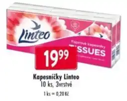 Qanto Kapesníčky Linteo nabídka
