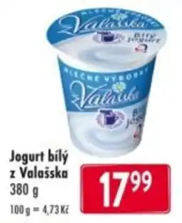 Qanto Jogurt bílý z Valašska nabídka