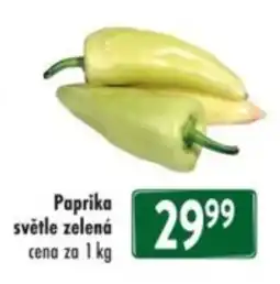 Qanto Paprika světle zelená nabídka