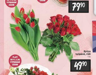 Billa Kytice tulipánů, růží nabídka