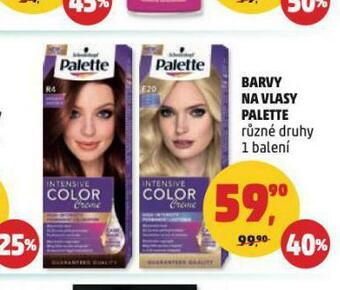 Penny Market Palette barva na vlasy nabídka