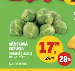 Růžičková kapusta