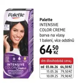 dm drogerie Palette intensive color creme nabídka