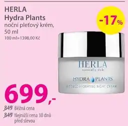 Hebe Herla hydra plants nabídka