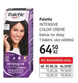 dm drogerie Palette nabídka