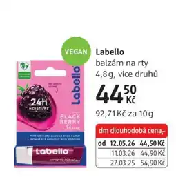 dm drogerie Labello nabídka