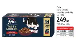 dm drogerie Felix Tasty Shreds nabídka