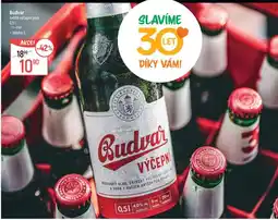 Globus Budvar svetle výčepní pivo nabídka