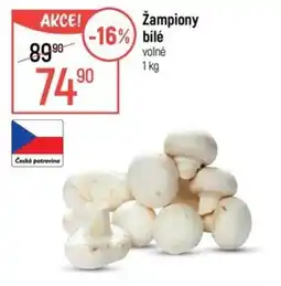 Globus Žampiony bílé nabídka
