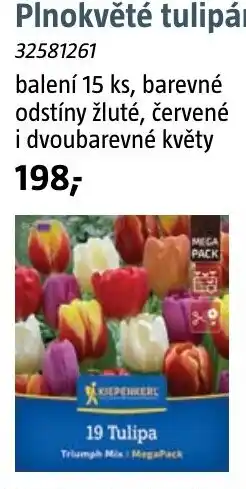 Bauhaus Kiepenkerl plnokvěté tulipány nabídka