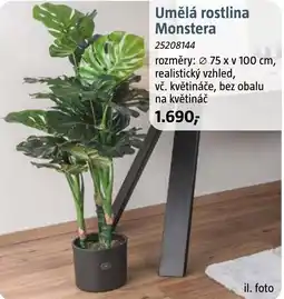 Bauhaus Umělá rostlina Monstera nabídka