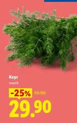 Lidl Kopr nabídka