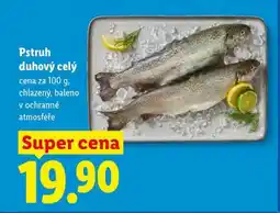 Lidl Pstruh duhový celý nabídka