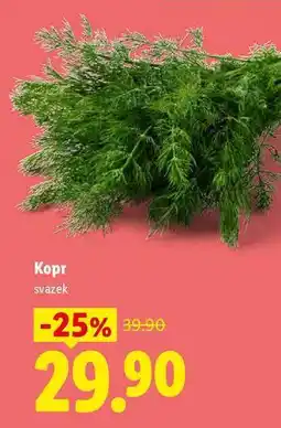 Lidl Kopr, svazek nabídka