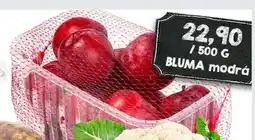 Jip Bluma modrá nabídka