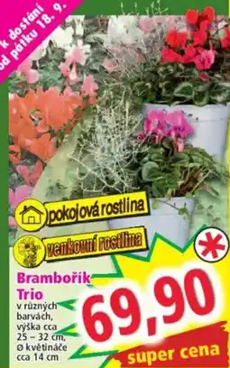 Norma Brambořík Trio nabídka
