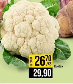 Jip Květák nabídka