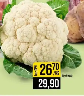 Jip Květák nabídka