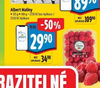Albert Maliny
