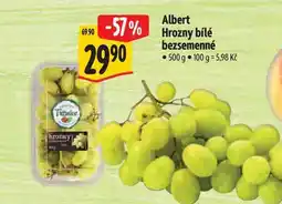 Albert Albert Hrozny bílé bezsemenné nabídka