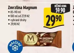 Albert Zmrzlina Magnum nabídka