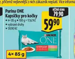 Albert Purina ONE Kapsičky pro kočky nabídka