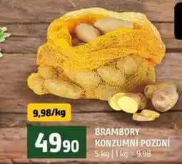 Terno BRAMBORY KONZUMNÍ POZDNÍ nabídka
