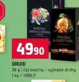 Terno Druid 36 g čaj ovocný vybrané druhy nabídka