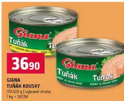 Terno GIANA TUŇÁK KOUSKY 170/120 g vybrané druhy nabídka