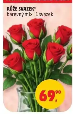 Penny Market Růže svazek nabídka