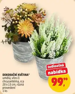 Penny Market dekoráční květina nabídka