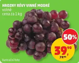 Penny Market Hrozny revy vinné modré nabídka