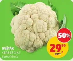 Penny Market květák nabídka
