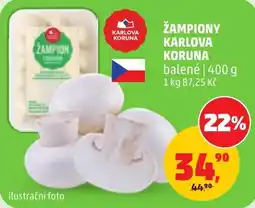 Penny Market Žampiony karlova koruna nabídka