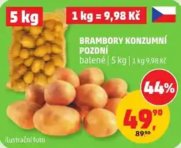 Penny Market Brambory konzumní pozdní nabídka