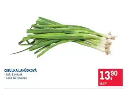 Makro CIBULKA LAHŮDKOVÁ nabídka
